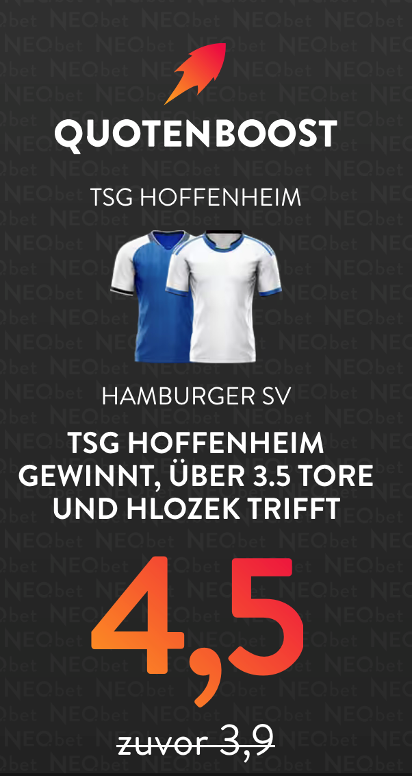TSG Hoffenheim – Hamburger SV
